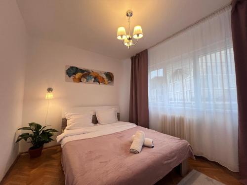 Iasi Apartment | Central Palace View Apartment