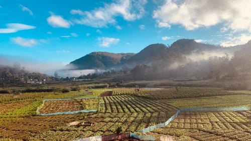 Haputale Apartment | Ceylon Shadow Diyathalw