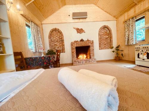 Sairme Ski Chalet | Chalet Harmony