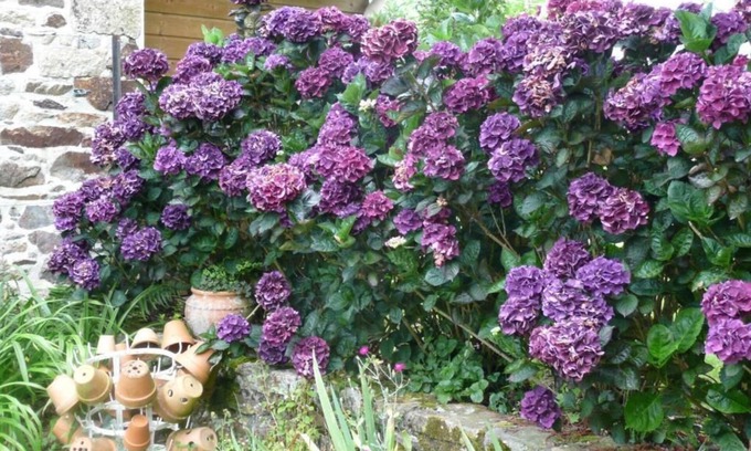 Milizac Bed & Breakfast | Chambres D'Hotes Ti Ar Yer