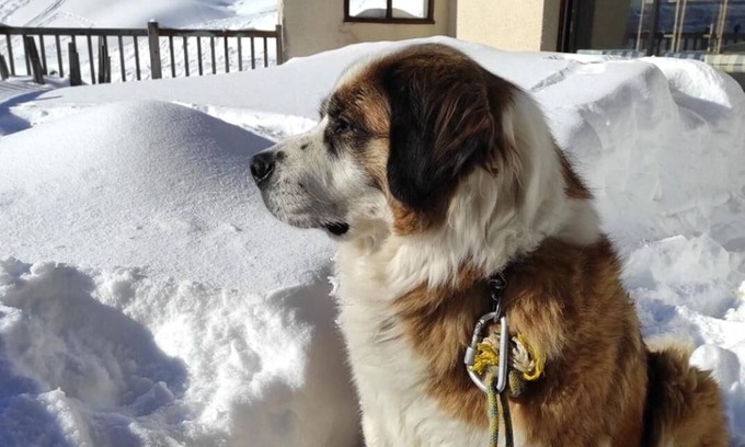 Nistos House | Chambres D'Hotes au Vieux Logis