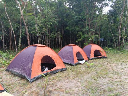 Sout Nikom House | Chansor Homestay 3 By Siem Reap Homesteading