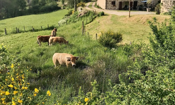 Aumont-Aubrac House | Character house at the gates of Aubrac