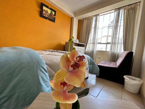 Cusco Historic Center Apartment | CHARLIE HOUSE CUSCO