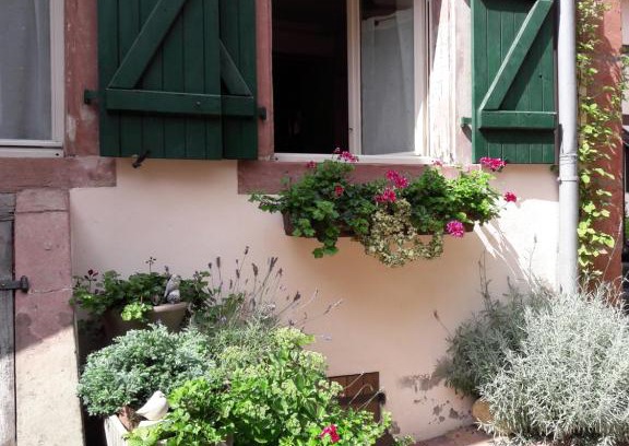 Bouxwiller Apartment | charmant petit appartement en Alsace