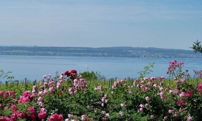 Meersburg Apartment | Charmantes Urlaubsdomizil für 2 Personen mit Seeblick vom Großen Balkon in Ruhig