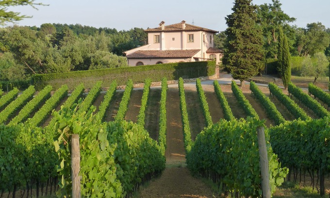 Crespina Other | Charming and comfortable apartment in organic winery