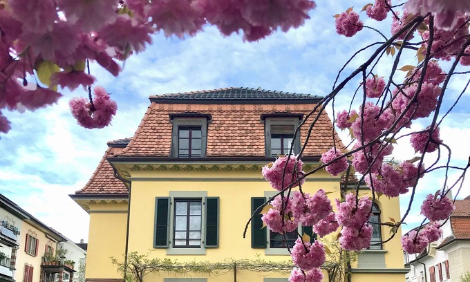 Breitenrain-Lorraine Apartment | Charming apartment in an art nouveau building in Bern