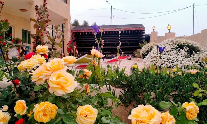 Wadi Musa Bed & Breakfast | Charming bed & breakfast in marvelous Wadi Musa with breakfast included