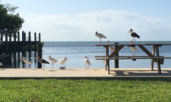 Cudjoe Key Cottage | Charming cottages, dockage, pool, just minutes to Key West
