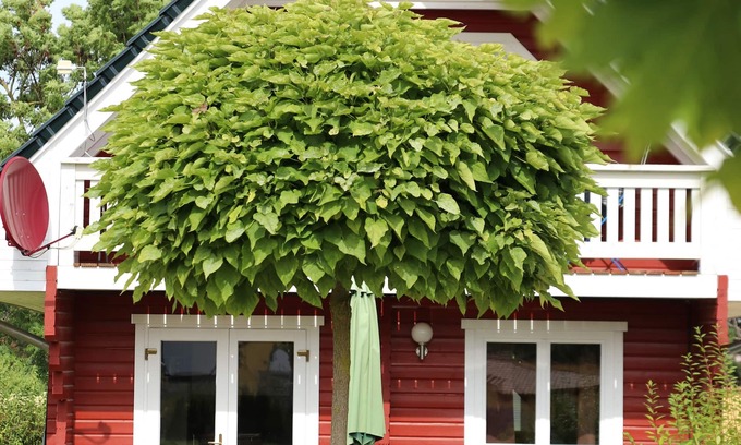 Oberdorla House | Charming vacation home, at the center of Germany for up to 8 guests.