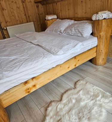 Dragoslavele Ski Chalet | Charpatian Log Cabin Dragoslavele