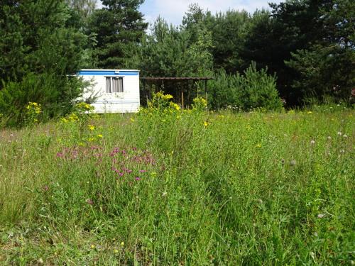 Vlkov Other | chata Lochneska u Vlkovských pískoven