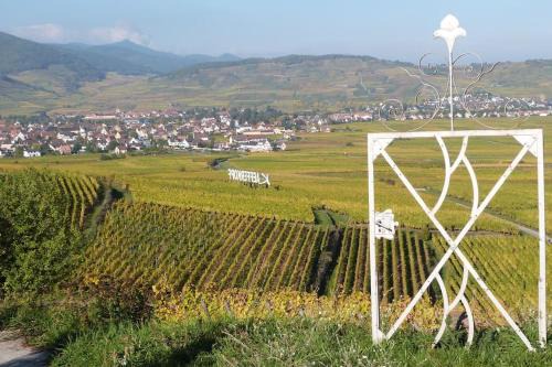 Ammerschwihr Apartment | Chez Delphine