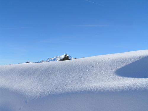 Outrechaise Bed & Breakfast | Chez Laurette et Louis
