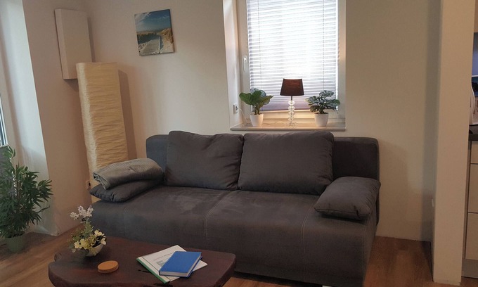 Scholderup Apartment | Chic vacation home, nestled in the beautiful Schleil landscape, equipped with: a well-kept garden with play facilities and covered barbecue and smoking area, extra-wide doors (98cm), fly screens and pleated blinds on all windows, a.