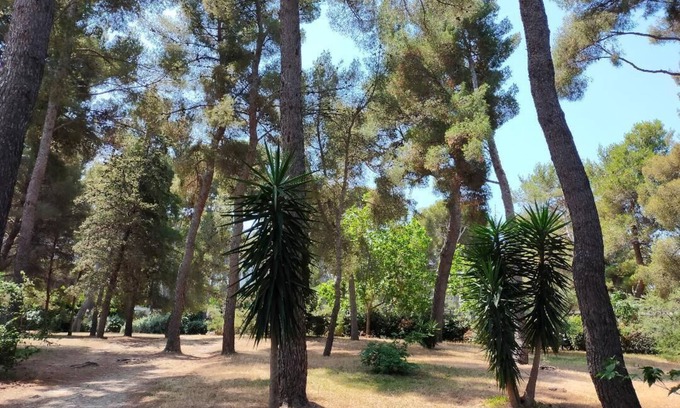 La Pointe Rouge Apartment | Cigalou at the gateway to the calanques, 2 km from the beach, 8 km from the Luminy university campus