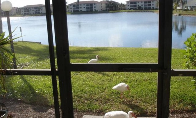 Iona Condo | CINNAMON COVE-GATED COMMUNITY-LAKE VIEW