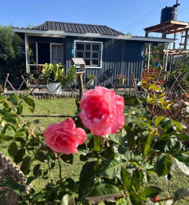 Nanyuki House | Citronella Mountain Cottage Nanyuki