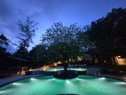 Pachmarhi Resort | Citrus Prime Hill Queen Resort