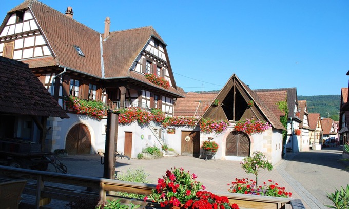 Cleebourg House | Cléebourg vineyard