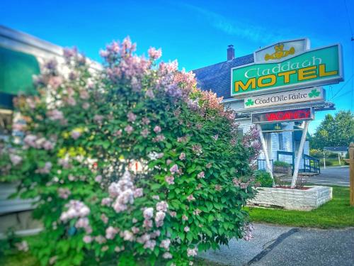 Rockport Hotel | Claddagh Motel & Suites