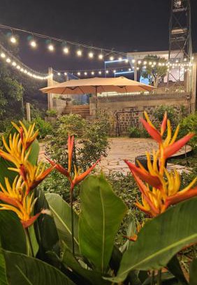 Pleiku Apartment | Cola House