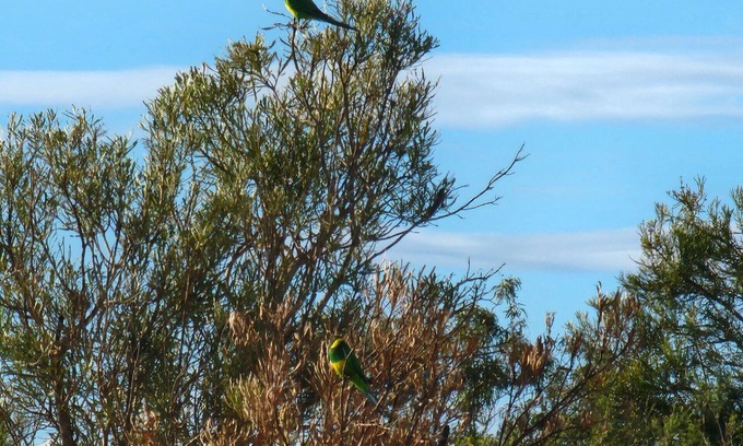 Shire Of Gingin Cabin | Come immerse your self in the serenity of the bush and get back to nature