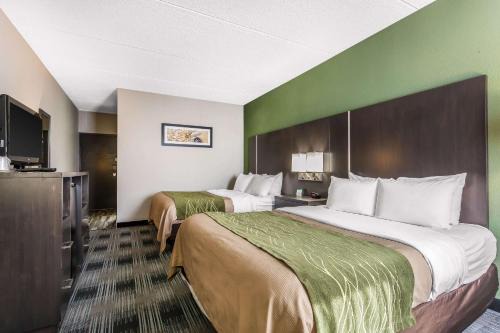 Middleburg Heights Hotel | Comfort Inn Cleveland Airport