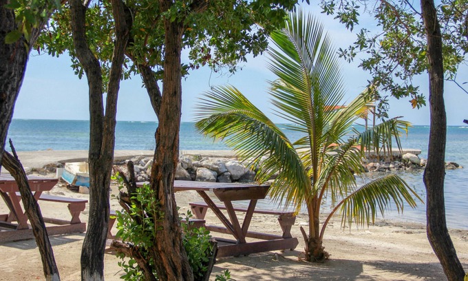 Greenwood Cottage | Comfy and quaint 1-bedroom cottage with amazing views