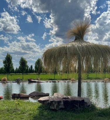 General Alvear Apartment | Complejo Koi