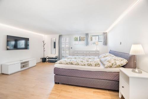 Visp Apartment | Completely renovated, furnished studio with plenty of comfort