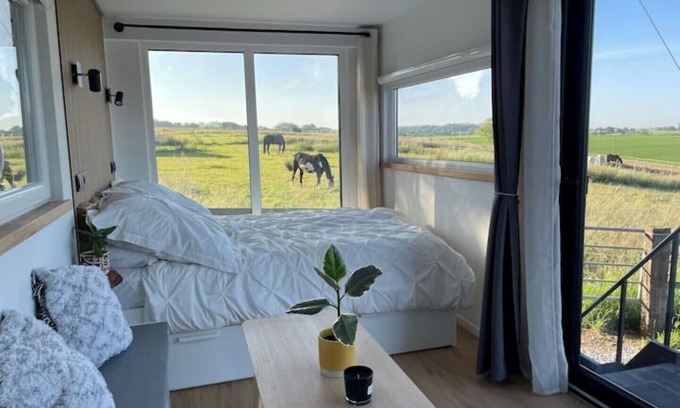 Bruch House | Container-tinyhouse Direkt Neben der Pferdekoppel