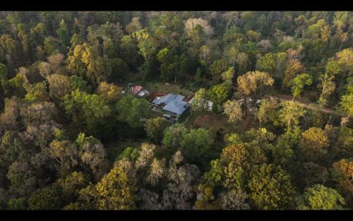 Kaimane Bed & Breakfast | Coorg Wild Walk, Nagarhole - A CGH Earth SAHA Experience