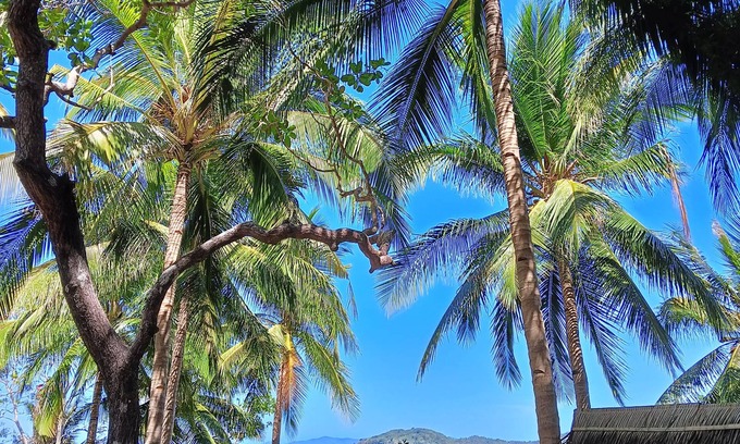 El Nido Bed & Breakfast | Coraline Coast Beach Resort & Resto-Bar