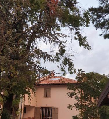 San Lazzaro di Savena Bed & Breakfast | Coralupi B & B