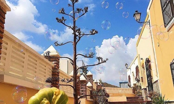 Fernan Perez House | Cortijo Los Garridos - 8 huéspedes