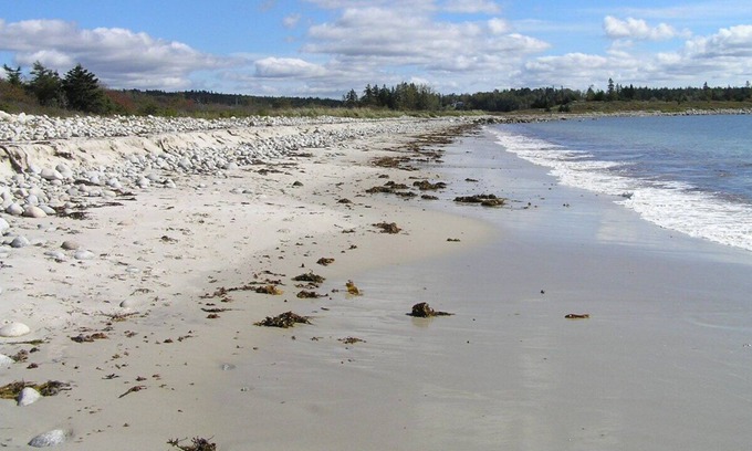 Halifax County Cottage | Cosy Cottage with View of St Margaret's Bay close to Pristine Beaches