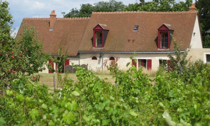 Vernou-sur-Brenne House | Cottage in the heart of a vineyard with private pool in season