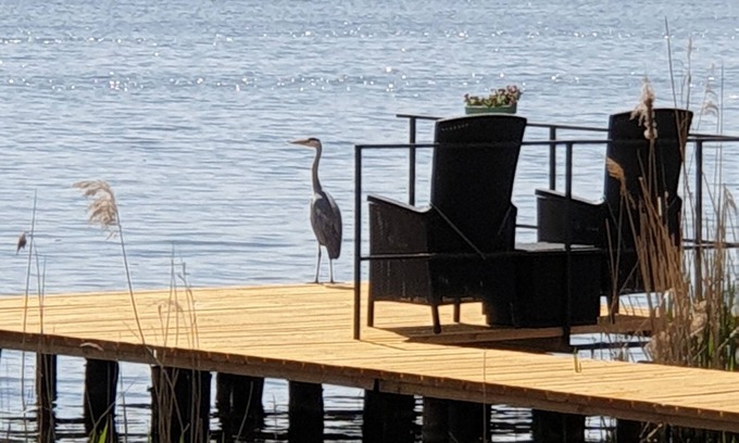 Zernsdorf House | Cottage with terrace directly on the Krüpelsee