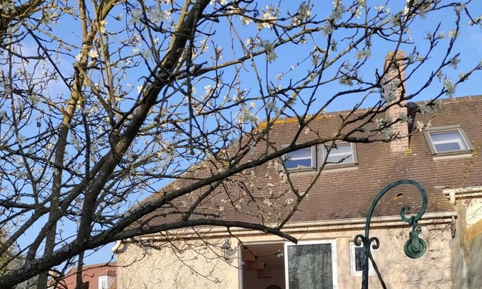 Luzarches House | Country house, quiet, with sunny garden, 1 hour from Paris.