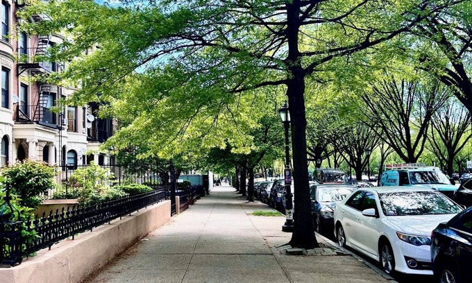 Crown Heights Apartment | Cozy Brooklyn Apt. - 2 minmute walk from 2 and 3 train!