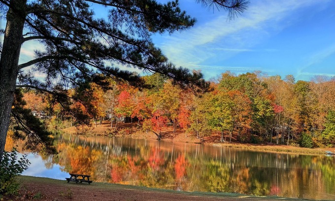 Cleveland Cabin | Cozy cabin and fall leaves! Swim, Horses, hiking, lake and 3 mi from Helen!