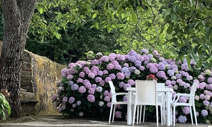 Stella Cilento Apartment | Cozy, comfortable, surrounded by greenery in the historic center