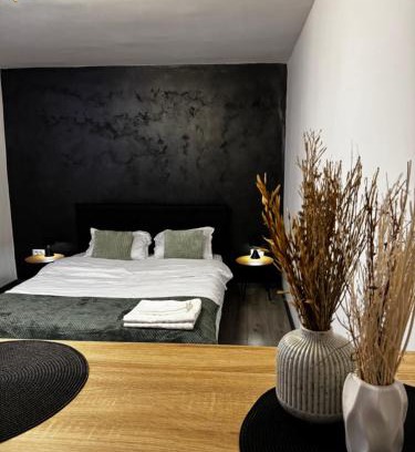 Petrosani Apartment | Cozy Home Studio