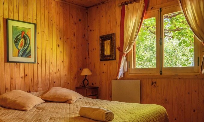 Potrerillos Cabin | Cozy log cabin with mountain view