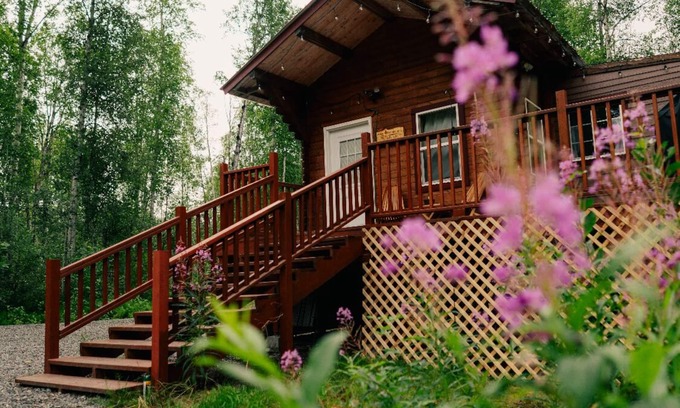 Willow Cabin | Cozy pet friendly cabin with stand alone sauna near Willow and Talkeetna Alaska
