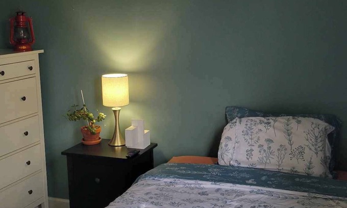 Mexicantown - Southwest Detroit House | Cozy Private Room