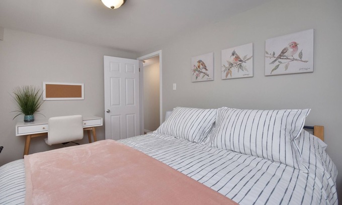 Moncton Apartment | Cozy separate basement appartment in a safe and quiet neighborhood
