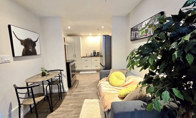 Cambridge Apartment | Cozy, Spacious & Beautiful Basement suite in Cambridge near 401 Townline exit